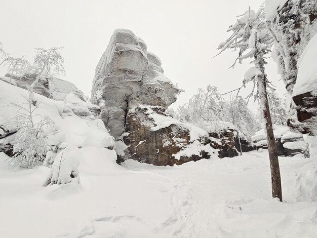 Grande rocha é coberta de neve em um véu branco de inverno