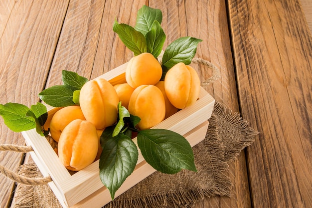 Grandes albaricoques jugosos en una caja de madera con asas de cuerda en una mesa de pueblo recolección de frutas de temporada