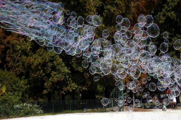 Grandes bolhas criadas com água e sabão