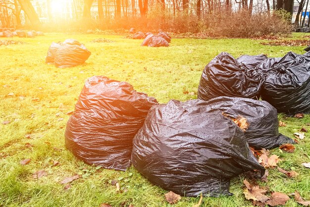 Grandes bolsas de basura negras sobre la hierba verde.