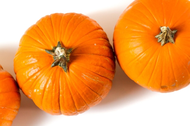 Grandes calabazas naranjas sobre un fondo blanco.