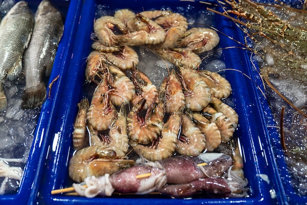 Grandes camarones frescos en agua, en una caja de plástico azul con agua, están esperando en un restaurante de mariscos en Tailandia para que el comprador los elija y los ordene para cocinar.