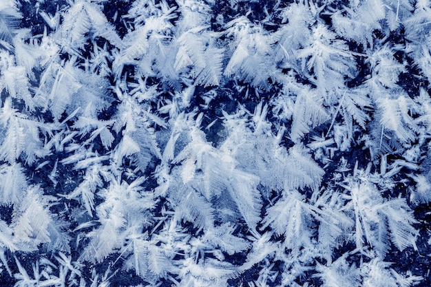 Grandes copos de nieve esponjosos en la superficie del hielo Fondo de invierno y Navidad