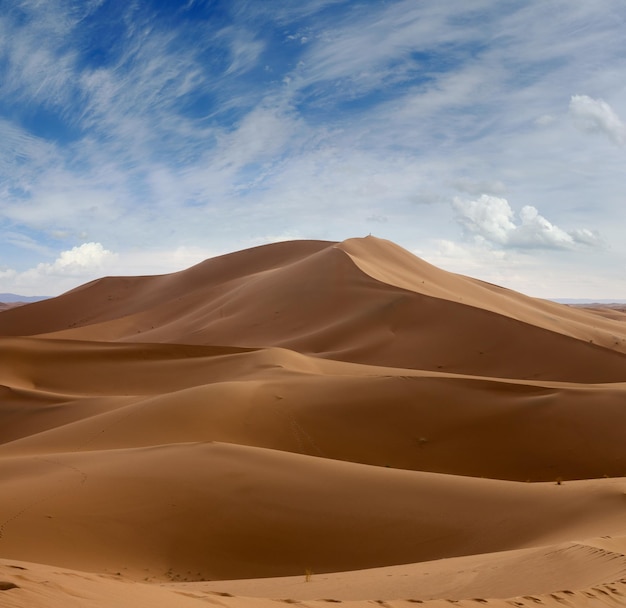 Grandes dunas de arena en el desierto del Sáhara