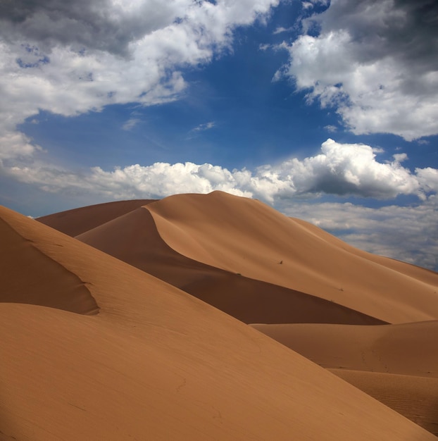 Grandes dunas de areia no deserto