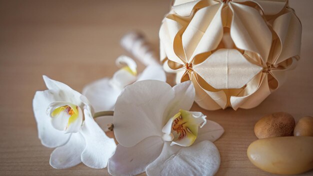 Grandes flores de orquídeas blancas sobre un fondo marrón