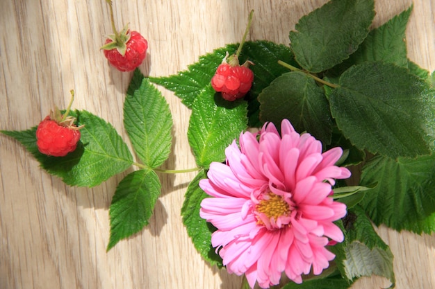 Foto grandes frambuesas de flores rosadas y hojas verdes en el fondo de madera