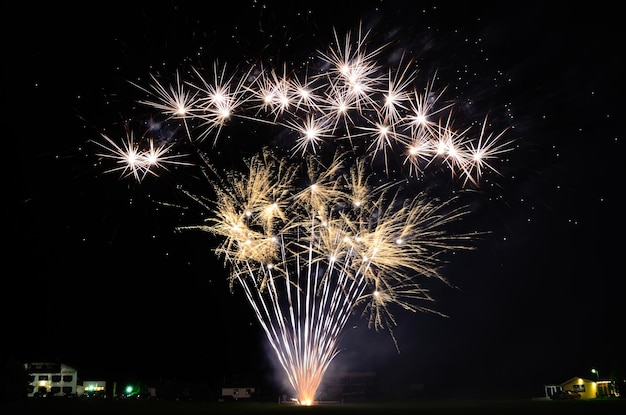 Grandes fuegos artificiales con diferentes estrellas.