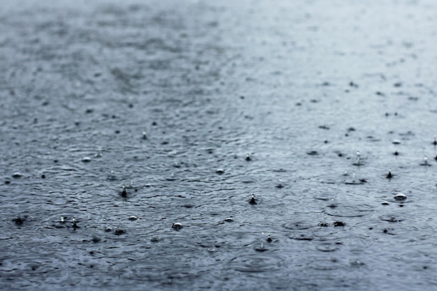 Grandes gotas de chuva caindo em poças em um dia nublado de chuvagrandes gotas de chuva caindo em poças em um dia nublado de chuva