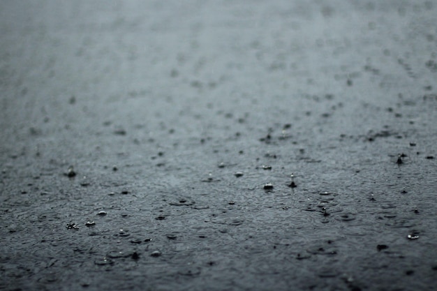 Grandes gotas de lluvia cayendo en charcos un día lluvioso nubladoGrandes gotas de lluvia cayendo en charcos un día lluvioso nublado