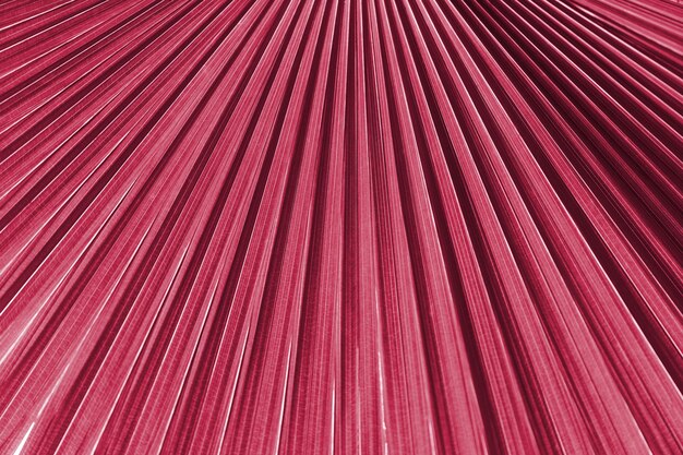 Foto grandes hojas de selva tropical. nuevo color pantone 18-1750 viva magenta de tendencia 2023