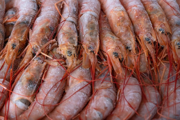 Grandes lagostins congelados em um pacote Frutos do mar