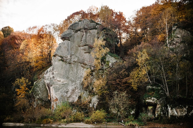 Grandes montañas rocosas con árboles