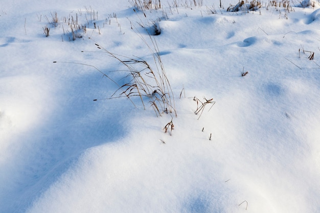 Grandes montes de neve