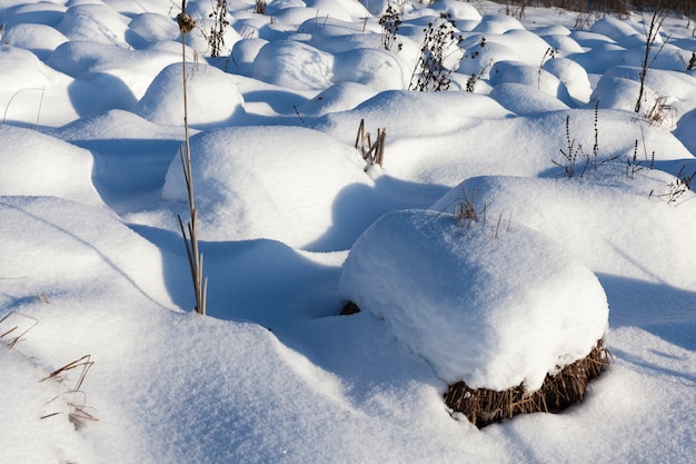 grandes montes de pântano após nevascas