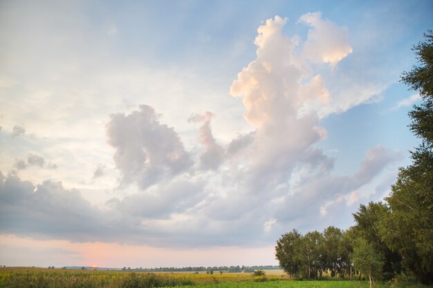 Grandes nuvens e belo pôr do sol sobre um campo verde agrícola