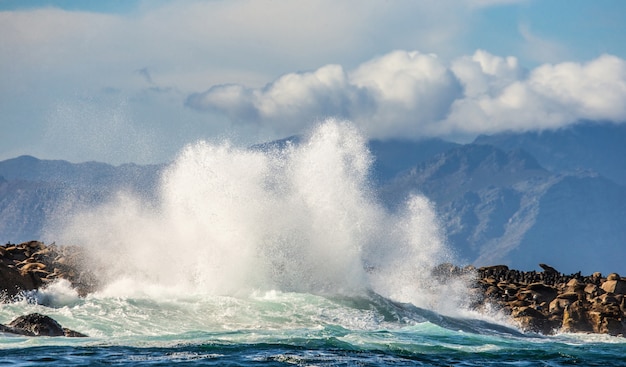 Grandes ondas quebram nas rochas do mar, no contexto da costa.