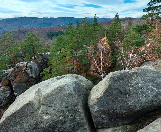 Grandes piedras altas en el bosque otoñal ("Skeli Dovbusha", región de Ivano-Frankovsk, Ucrania)