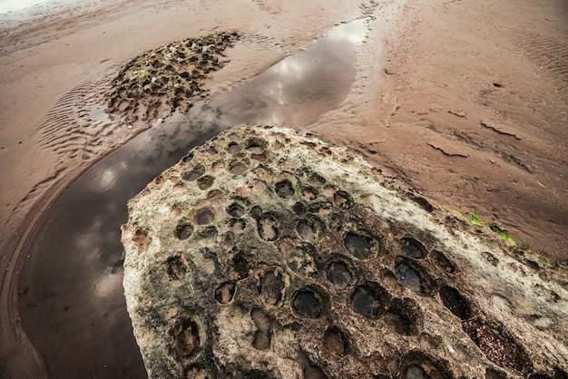 Grandes piedras en la playa