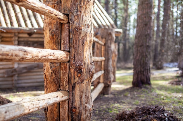 Grandes postes de valla de madera que encierran una antigua casa de madera en el bosque