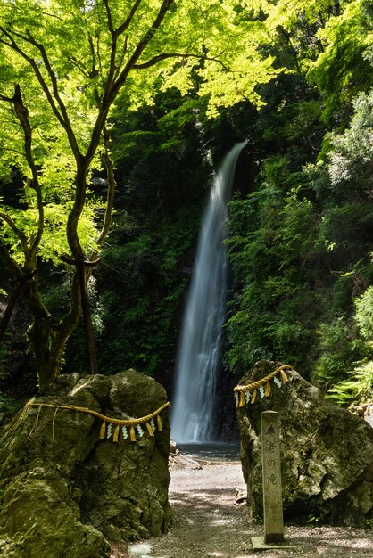 Grandes rocas adornadas con cuerdas sagradas cascada bosque verde Traducción Cascada de Yoro