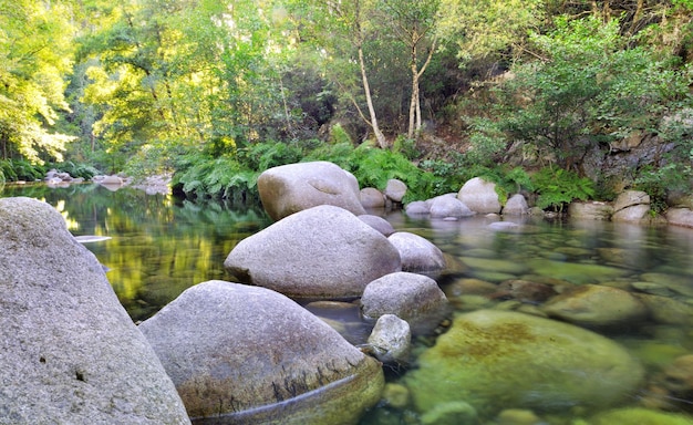 Grandes rocas cruzando un río en un bosque con agua clara en Córcega