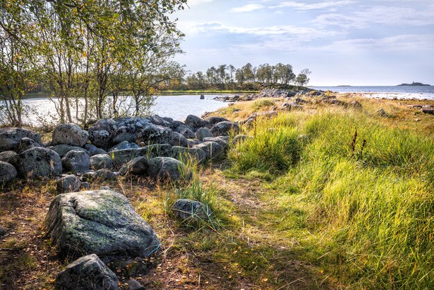 Grandes rocas en las jaulas de Filippovsky en las islas Solovetsky entre la hierba verde y el agua azul