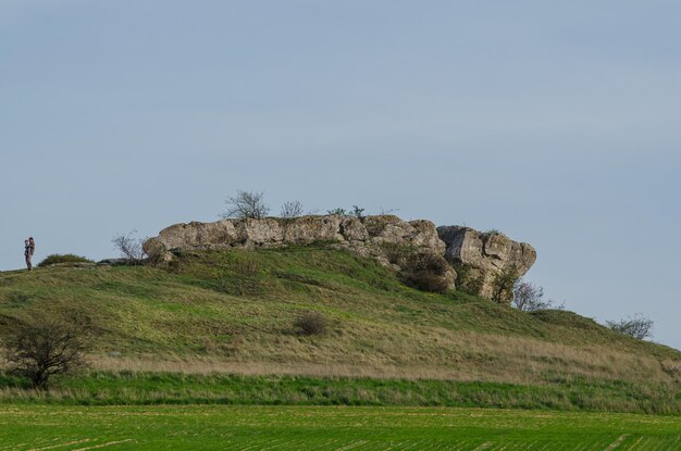 Grandes rocas en la naturaleza verde