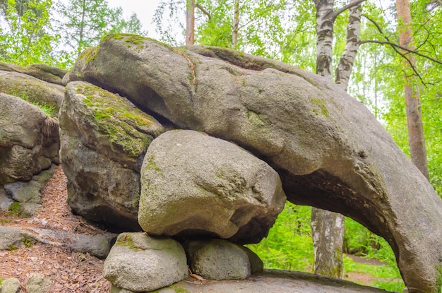 Grandes rochas e rochas na floresta no verão.