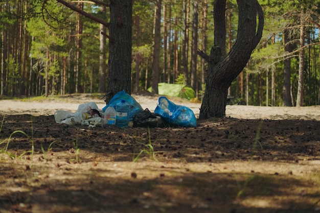 Grandes sacos de lixo plástico deixados após acampar na floresta Poluição ambiental Coleta de lixo