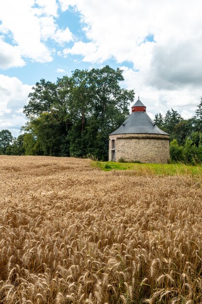 Granero de paja en la Bretaña francesa en julio de verano, cerca del bosque de Broceliande.