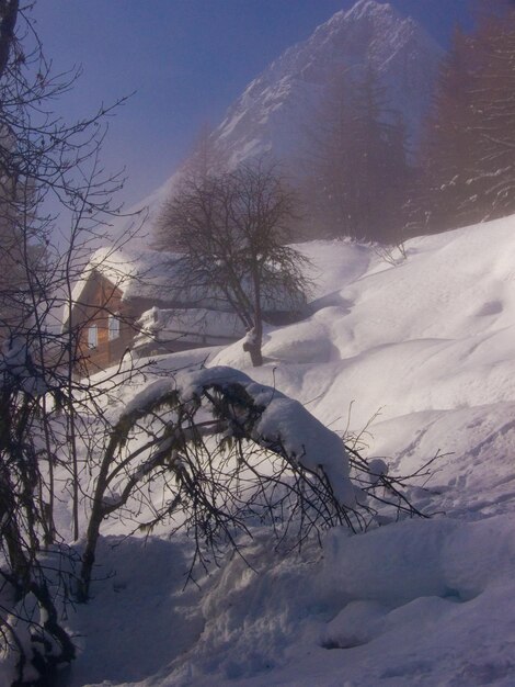 Les grangesvallorcinehaute savoiefrancia