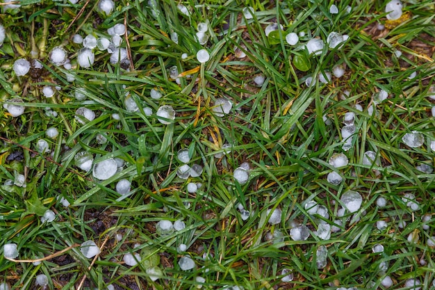 Granizo de hielo blanco sobre la hierba verde después de la tormenta de verano a la luz del día