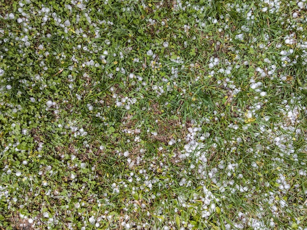 Granizo de hielo blanco sobre la hierba verde después de la tormenta de verano