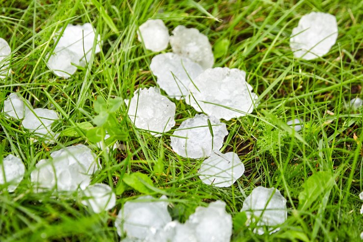 Granizo sobre la hierba verde después de una tormenta de granizo Césped cubierto de granizo después de una tormenta de granizo