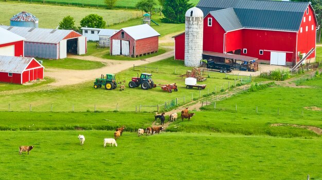 Granja aérea con hierba verde y vacas vagando desde el pasto hacia el granero rojo