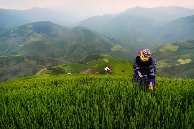 Granja de arroz jazmín tribal y cáscara en Vietnam.