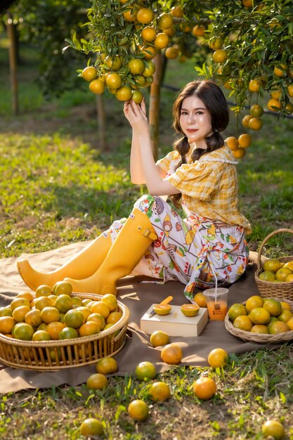 Foto granja asiática de naranjas en el norte de tailandia.