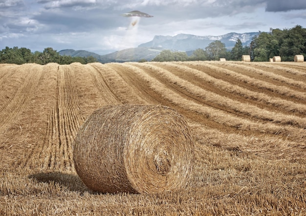 Granja y campo OVNI con invasión de naves espaciales extraterrestres, heno o luz de rayo tractor para investigación, platillo volador UAP y viajes interestelares en la naturaleza, pasto o campo para inspección o vuelo