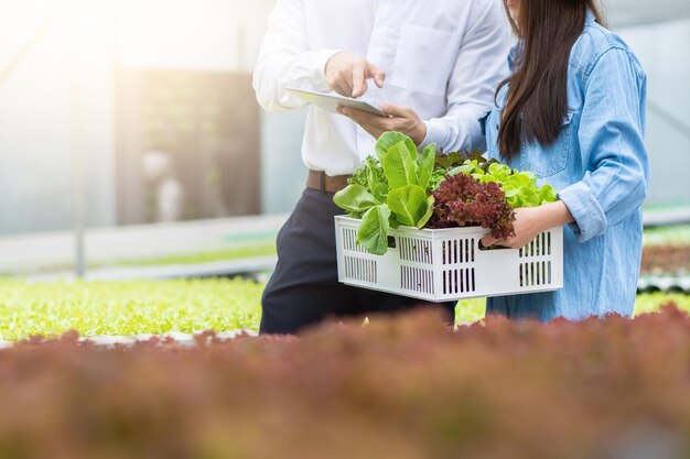 Granja hidropónica con tecnología investigador experto agrícola introducir propietario agricultor comprobando un buen equilibrio de agua y oxígeno como luces de temperatura nivel de pH sistema de humedad de la planta en crecimiento