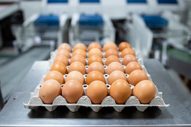 Granja de huevos y envasado industrial de alimentos orgánicos.