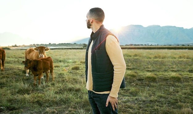 Granja matutina de campo de vacas y hombre mirando el crecimiento de la agricultura animales de campo libre o vista del amanecer en el campo Respetuosa con el medio ambiente Sostenibilidad res y granjeros que crían ganado en pasto verde