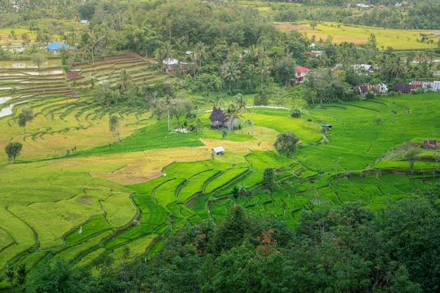 Una granja en medio de un campo verde