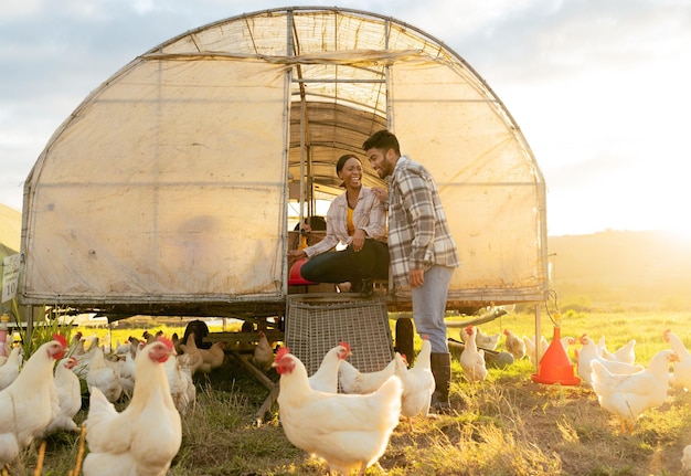 Foto granja de pollos y hombres y mujeres en el campo agrícola en el campo para la cría de gallinas en verano granjero avícola y pareja multirracial agrícola en el rancho para una cosecha ambiental sostenible