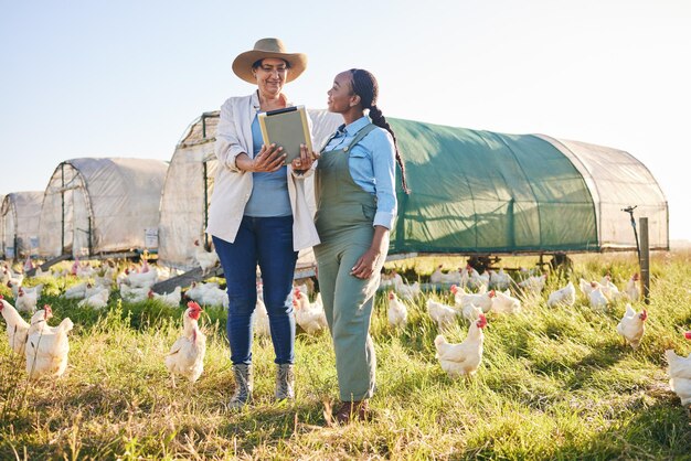 Granja de pollos y mujeres en tabletas en el campo y la naturaleza para el crecimiento de las pequeñas empresas y la ecología Agricultura agricultura sostenible y agricultores con tecnología digital para el inventario de producción avícola