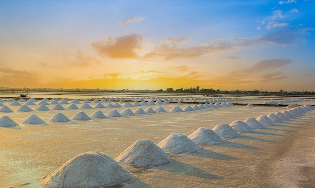 Granja de sal en Tailandia, industria de la sal, puesta de sol en un lago de sal rosa, cultivo de sal al atardecer Naklua