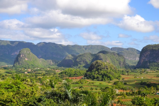 Granja de tabaco en las montañas de Cuba