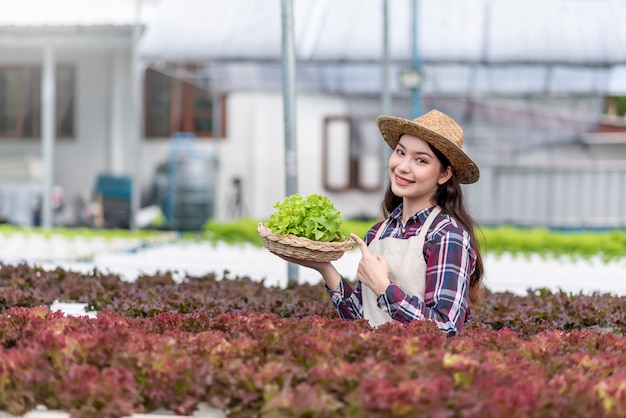 Granja de vegetales hidropónicos. Feliz joven asiática sosteniendo una cesta de verduras orgánicas que ella misma ha plantado.