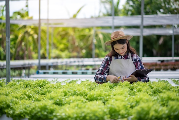 Granja de vegetales hidropónicos. Granjero asiático hermoso que estudia el cultivo y el análisis de hortalizas hidropónicas. Concepto de cultivo de vegetales orgánicos y alimentos saludables.