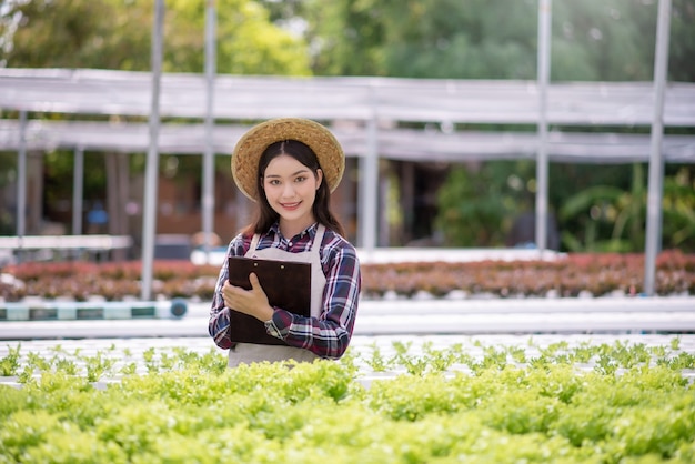 Granja de vegetales hidropónicos. Mujeres asiáticas analizan y estudian investigaciones sobre huertos orgánicos, hidropónicos